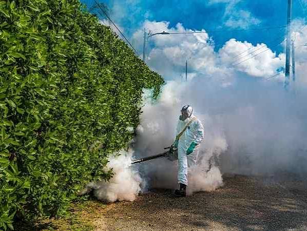 mosquito control services