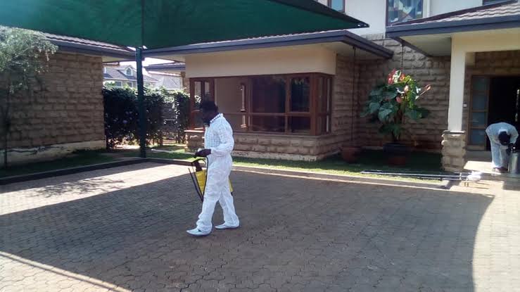 pest cotro services
