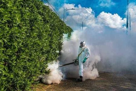 mosquito control services